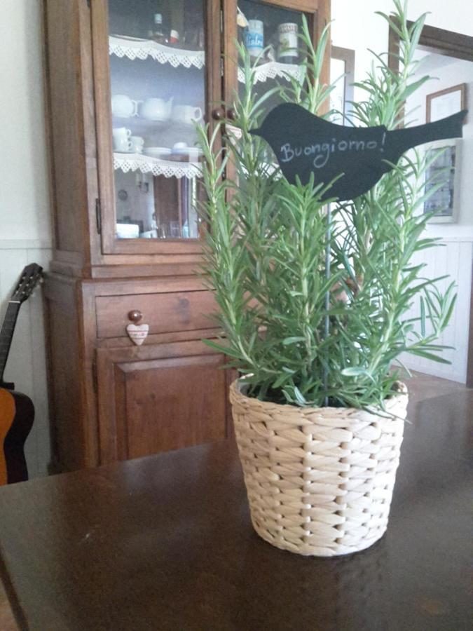 Agriturismo Cioccoleta Орвието Екстериор снимка