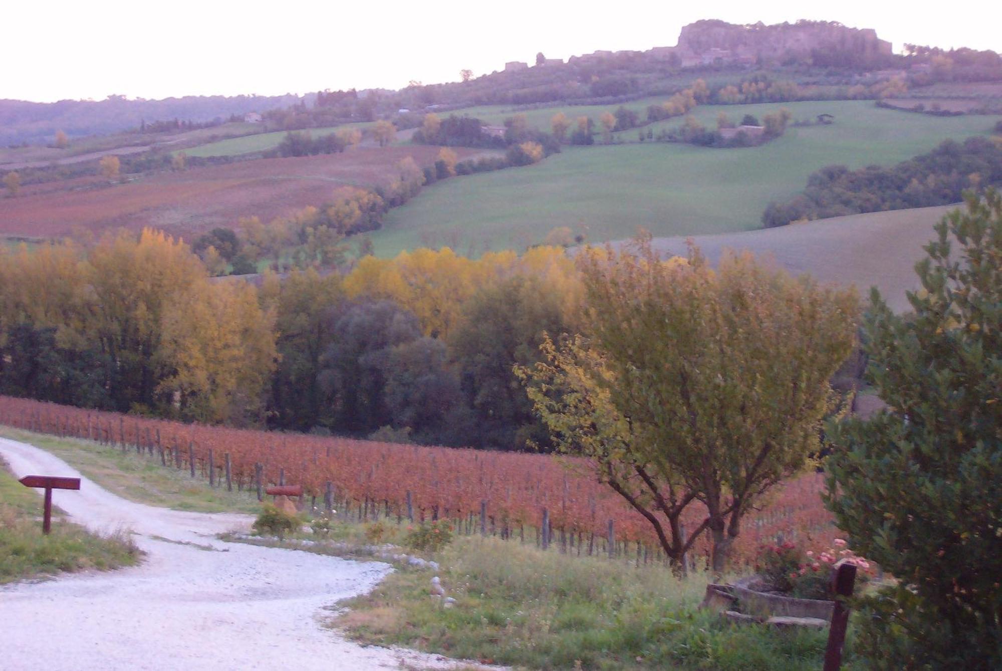Agriturismo Cioccoleta Орвието Екстериор снимка