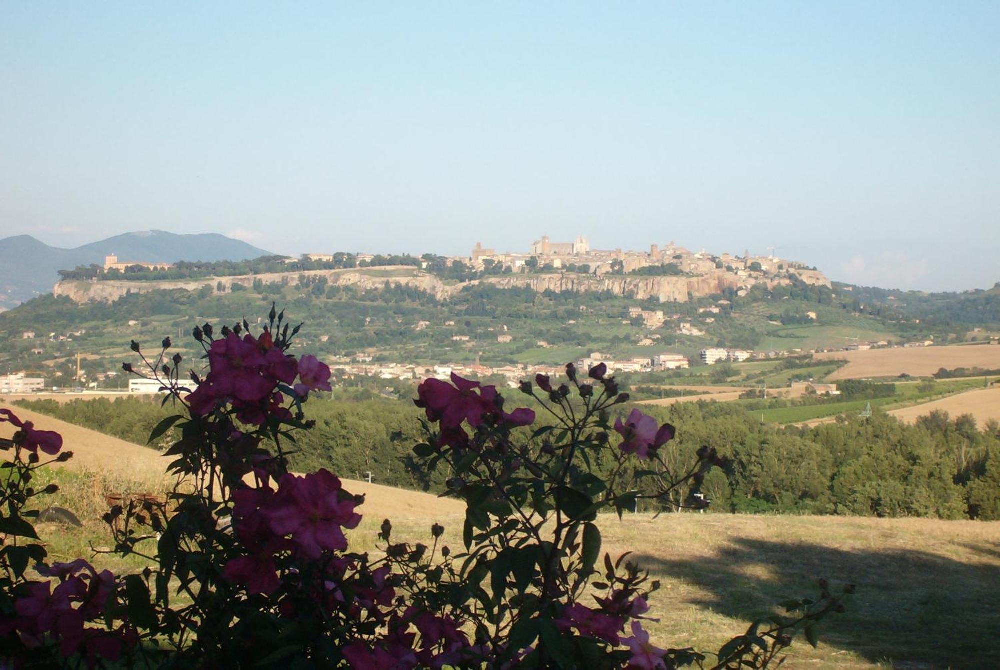 Agriturismo Cioccoleta Орвието Екстериор снимка