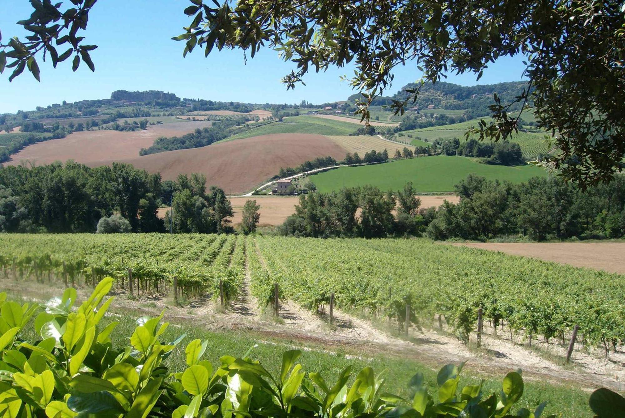Agriturismo Cioccoleta Орвието Екстериор снимка