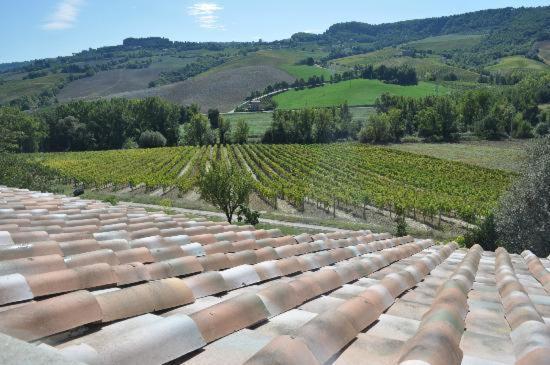 Agriturismo Cioccoleta Орвието Екстериор снимка